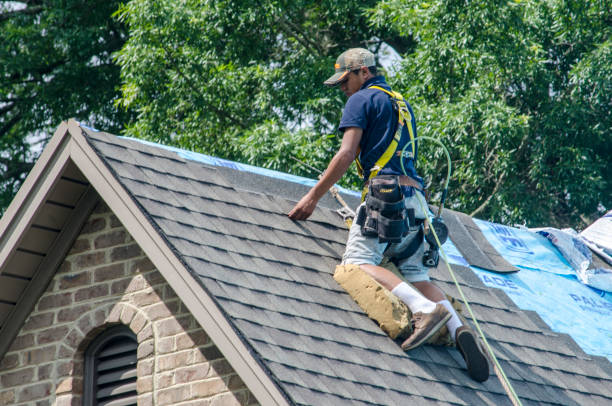 Best Roof Gutter Cleaning  in West Park, FL